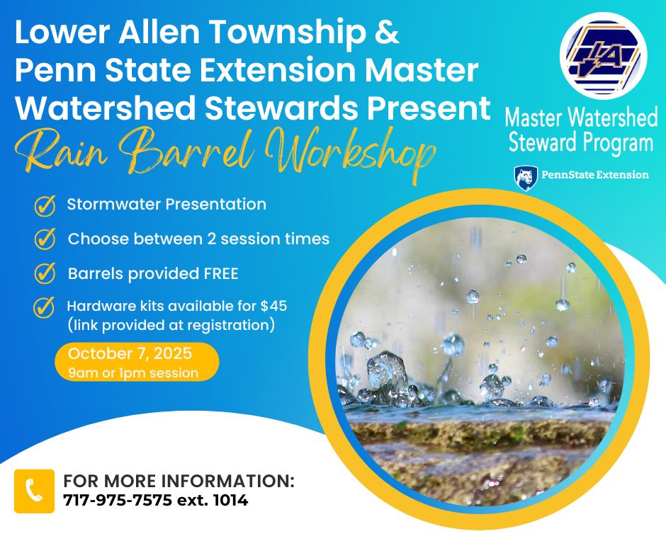 Rain Barrel 2025 info